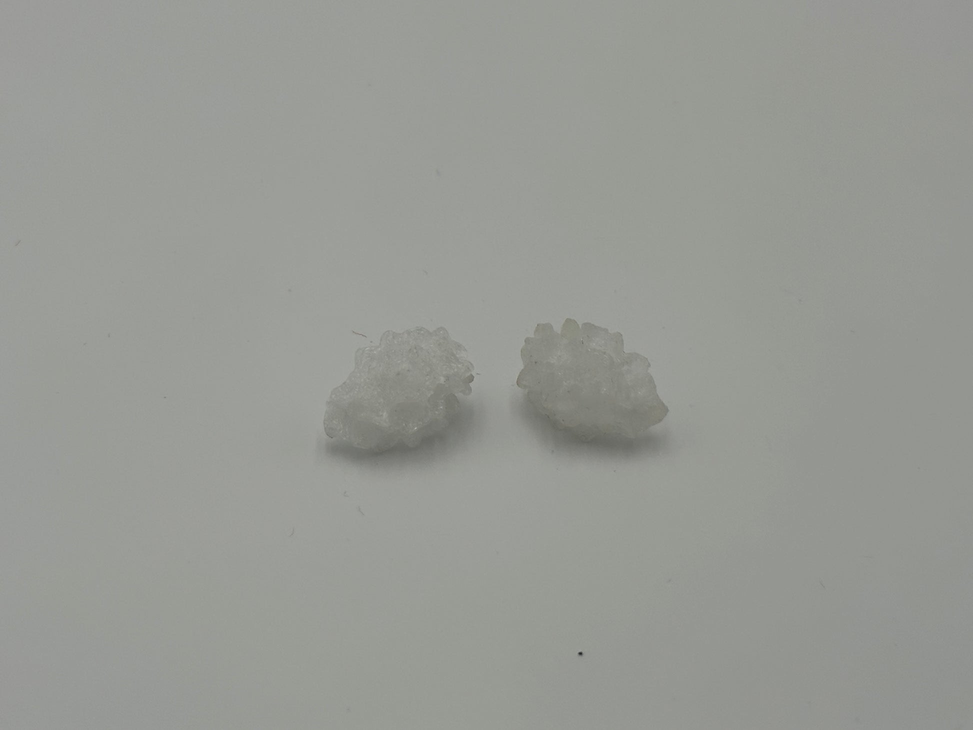 PENDIENTES AKROPORA BLANCAS