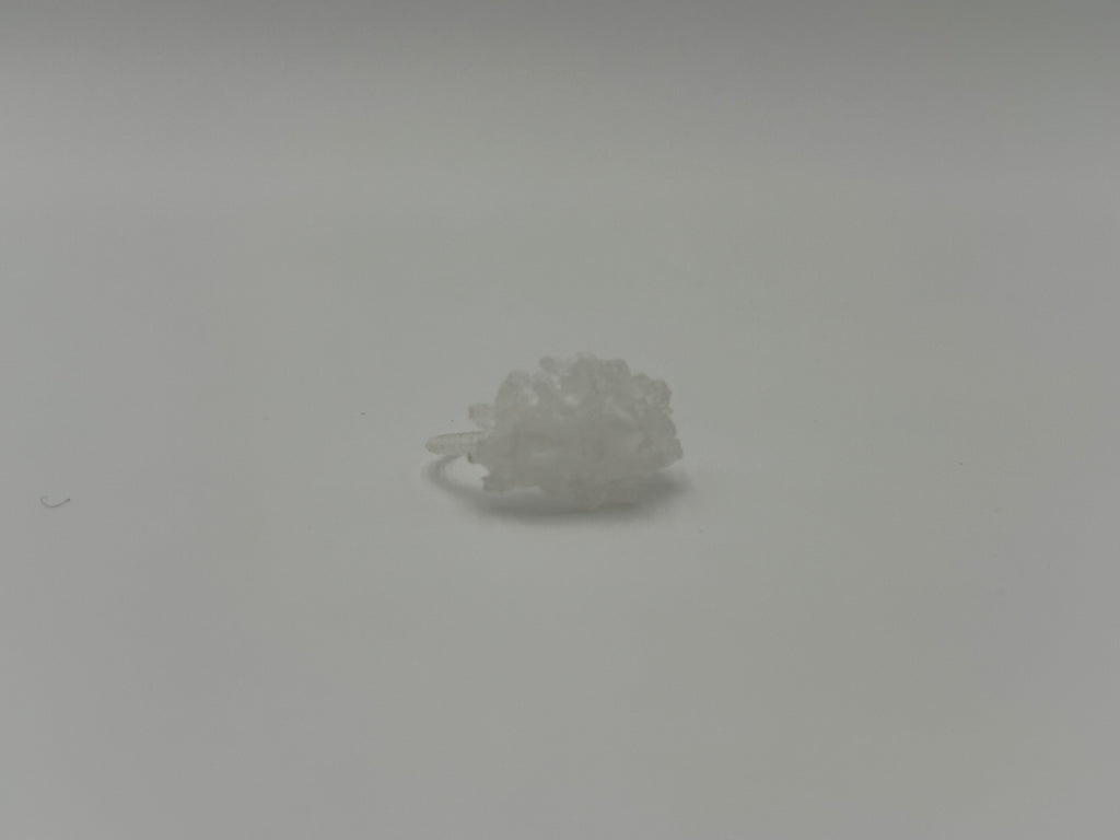 ANILLO AKROPORA BLANCO