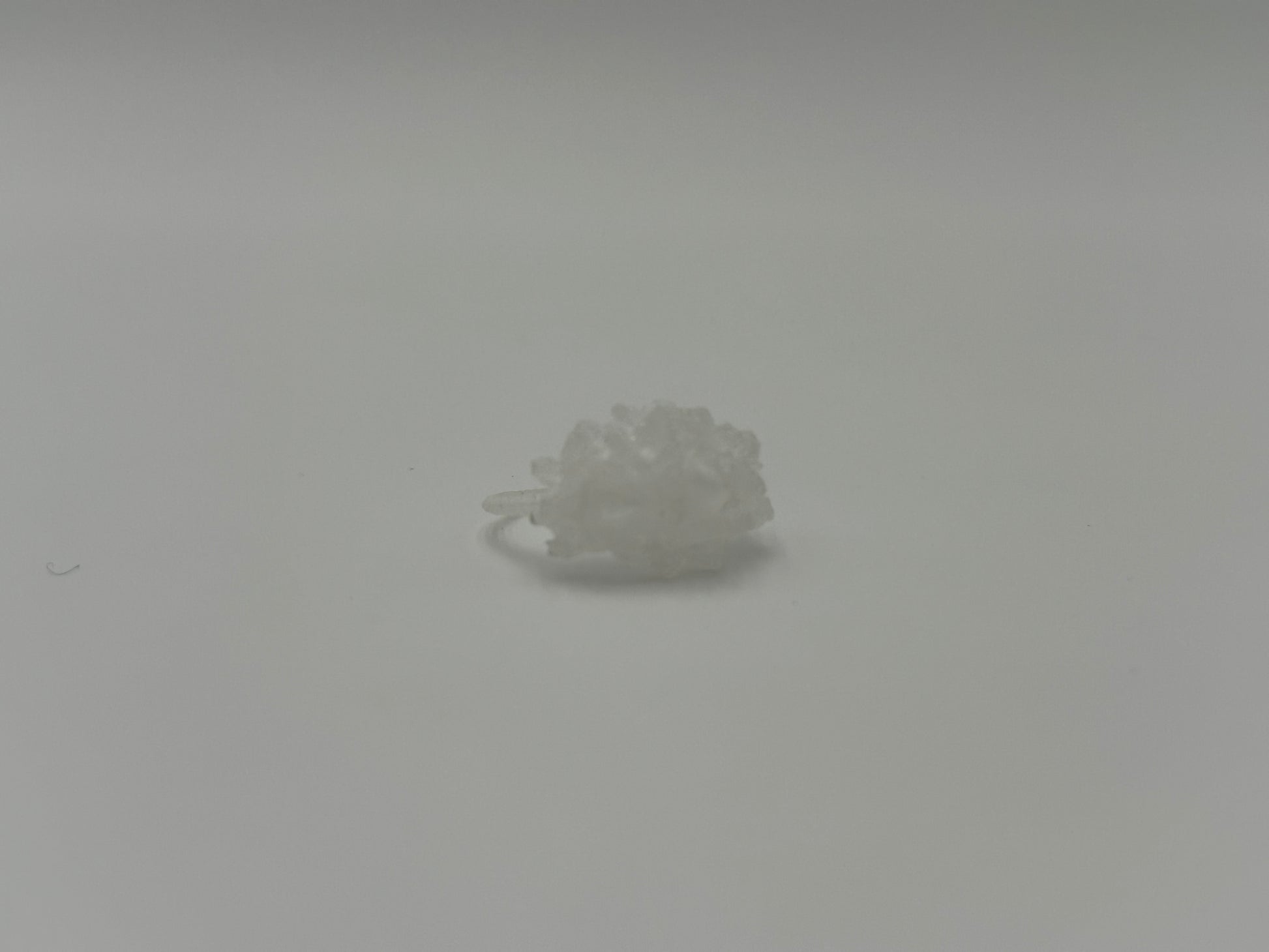 ANILLO AKROPORA BLANCO
